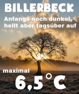 Wetter Billerbeck