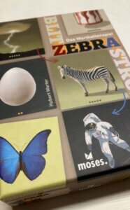 blitz zebra astronaut