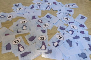 hier_abacusspiele_auslage